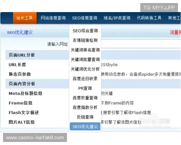 凯发网网站官方地址稳定性分析与访问技巧分享