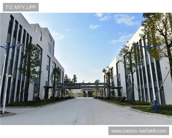 凯发体育集团网址最新更新，提供官方平台的官方网址及访问指南