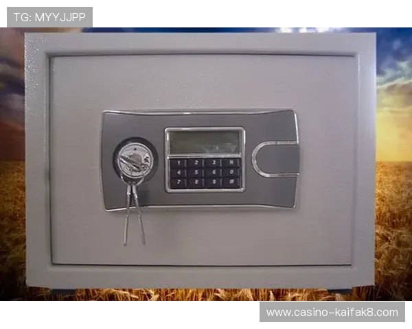 凯发K8手机版APP支持多平台使用，随时随地畅玩体育与娱乐游戏