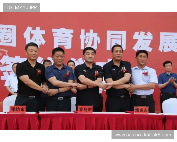 凯发k8集团合作伙伴与联盟资源介绍助力玩家了解平台的行业合作关系