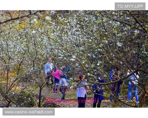 三公扑克牌玩法全攻略包括规则、技巧与常见问题解答助你玩转三公牌局
