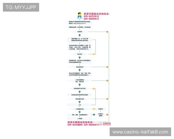 凯发电游网址查询流程详解助你顺利进入官方平台