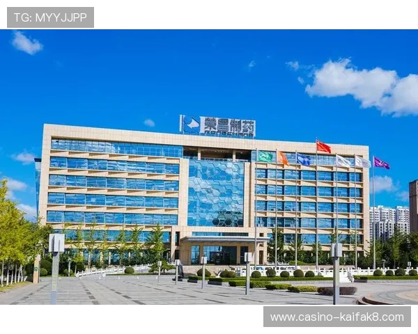 最新k8凯发旗舰厅官网入口官方入口地址，详细介绍登录步骤与常见问题解决方案